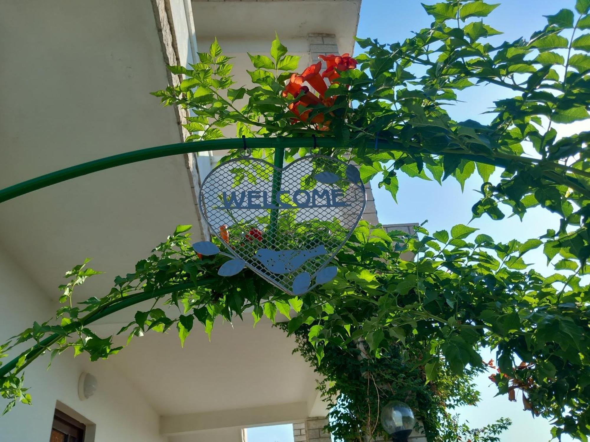 Apartments Mira Lopar Εξωτερικό φωτογραφία